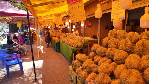 中老鐵路 客貨運雙雙突破5000萬，合作共贏之路改變我們的生活與貨機(jī)車配件行業(yè)